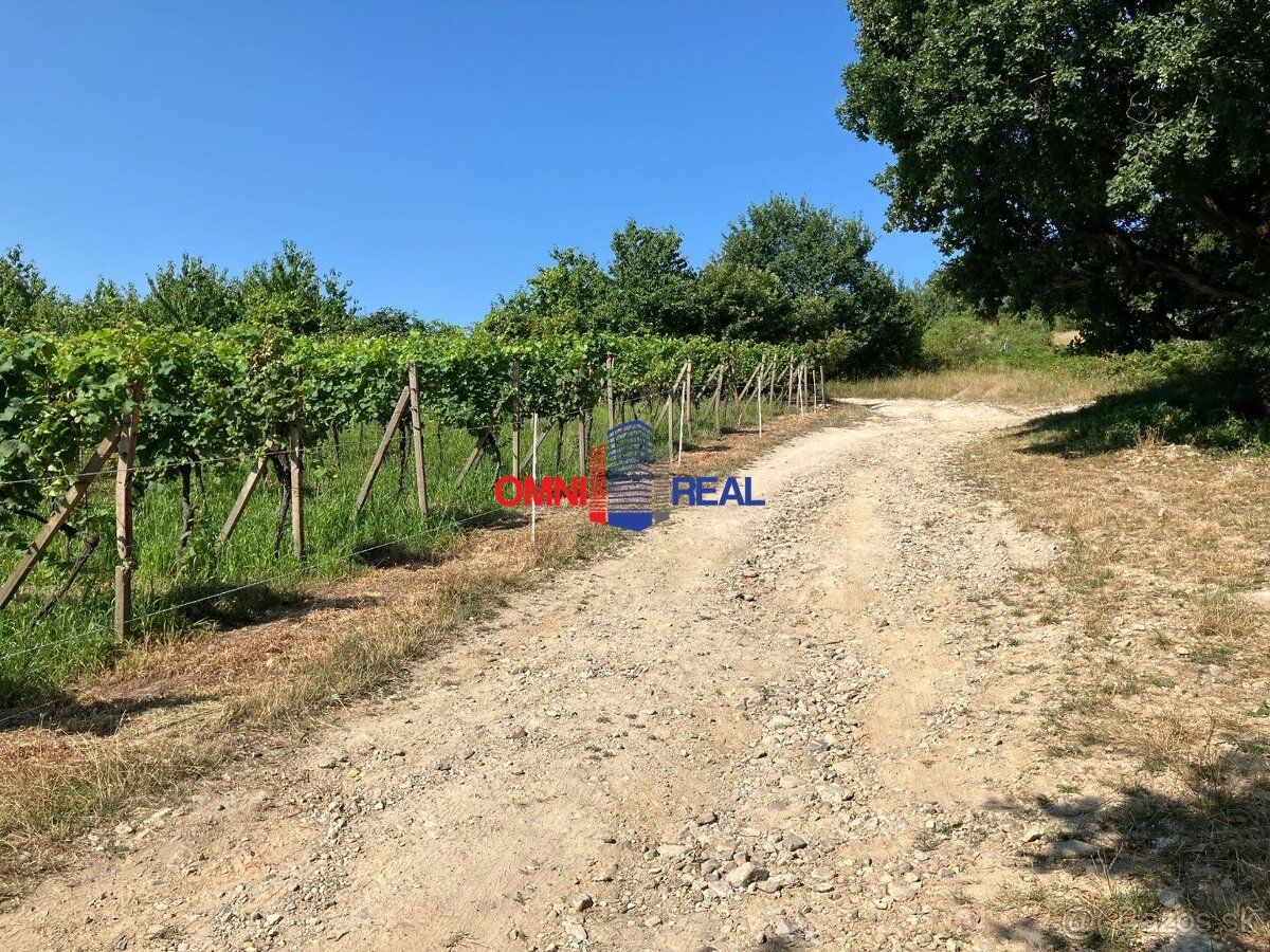 Ponúkame Vám na predaj vinohrad v Limbachu smer Myslenice.
V