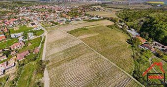 Ponúkame Vám na predaj vinohrad v Limbachu smer Myslenice.
V