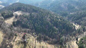 Spoločnosť Slovak Estate s.r.o. ponúka na predaj lesný pozem