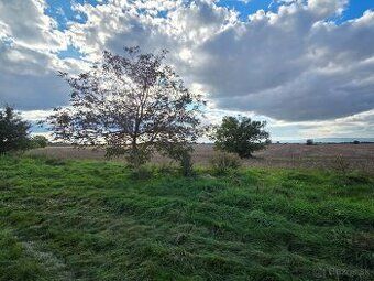 V obci Tureň, katastrálnom území Zonc predám parcely registr