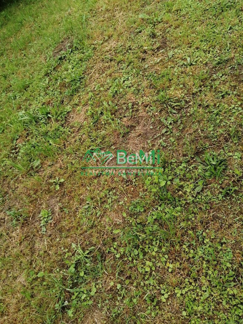 Typ: Poľnohospodárske a lesné pozemky Obec: Varín
(121-14-MA