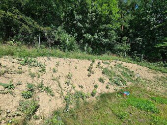 Predám záhradu v záhradkárskej oblasti Dubeň - cca 500m² 25x
