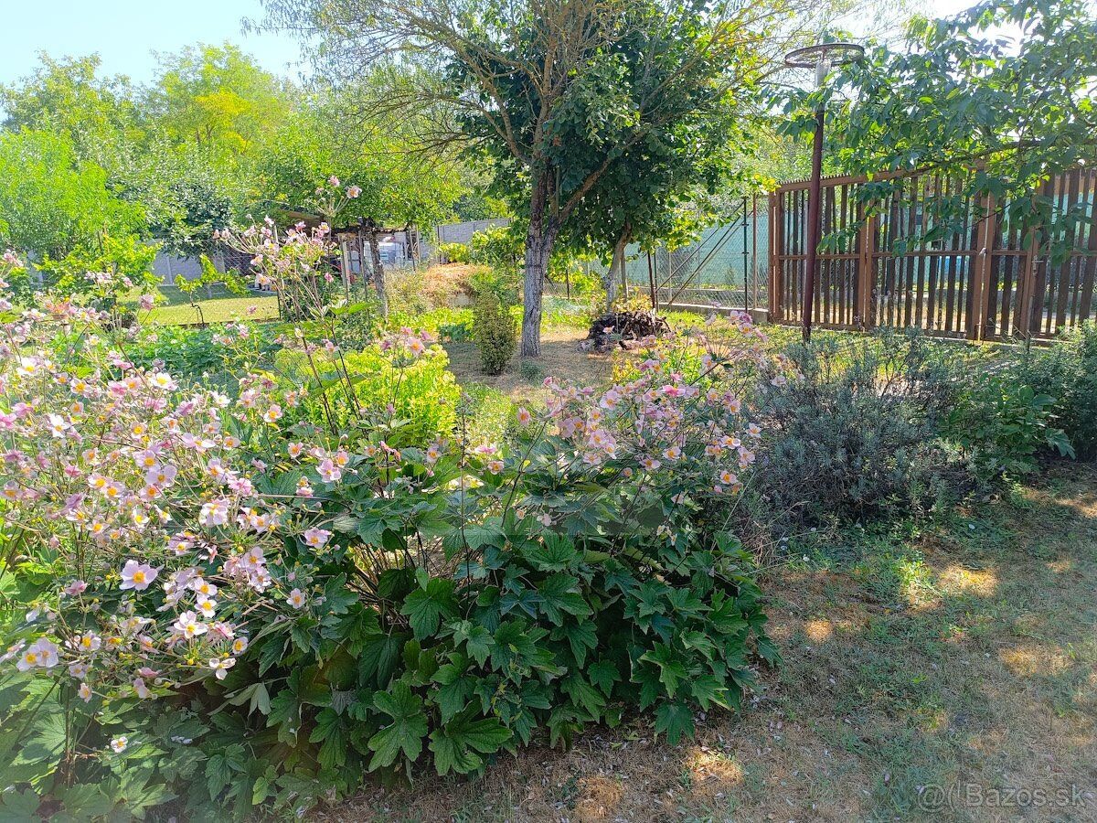 Táto nádherná záhrada s rozlohou 643 m² ponúka všetko, čo po