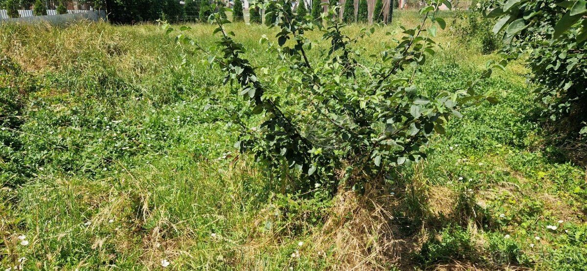 EXKLUZÍVNE. Ponúkame na predaj starší rodinný dom v pôvodnom