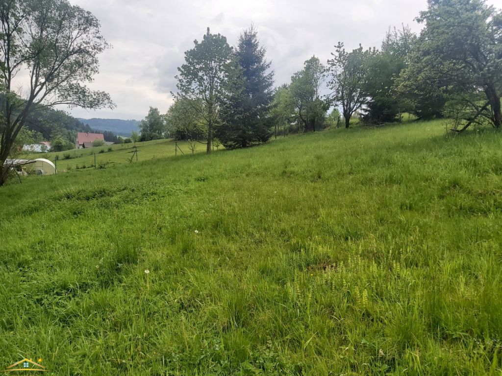 Ponúkame Vám na predaj slnečný stavebný pozemok v meste Turz