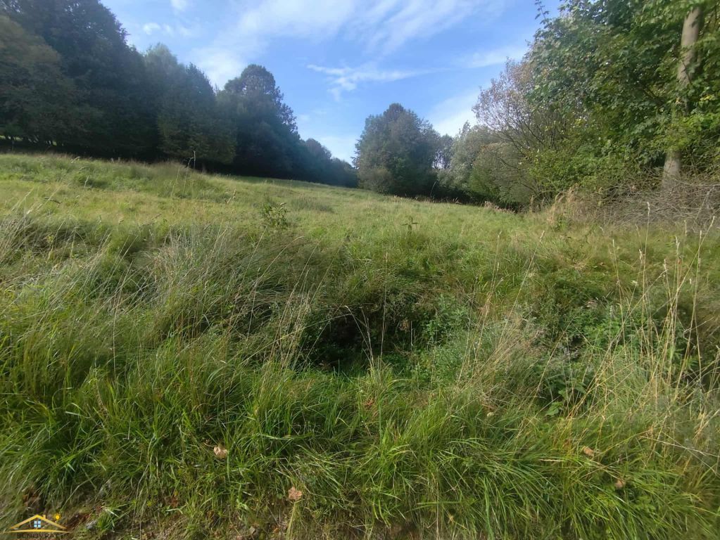 Ponúkame Vám na predaj krásny rekreačný pozemok o výmere 3 0