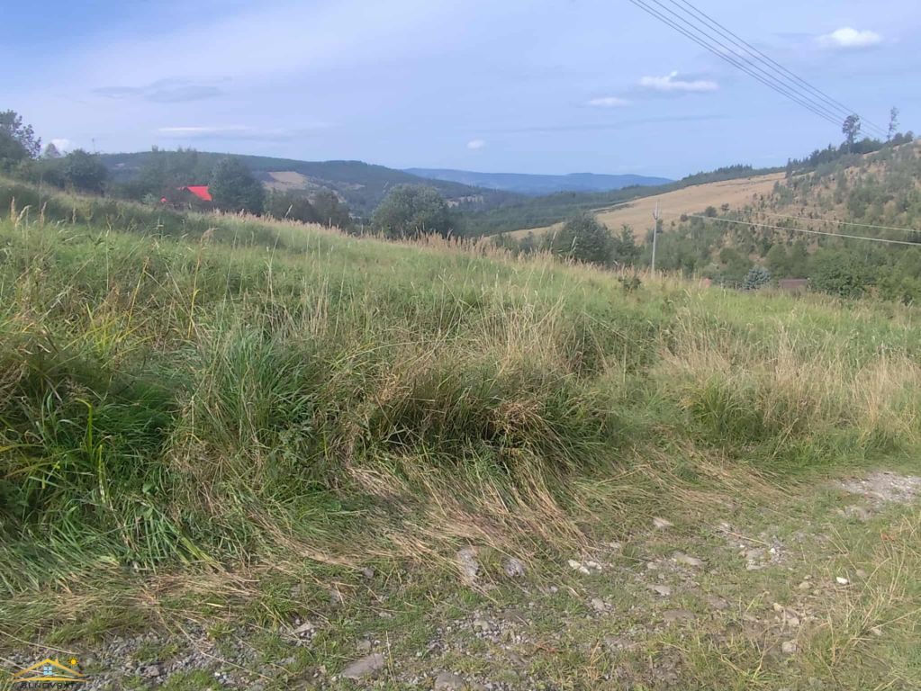 Ponúkame Vám na predaj krásny rekreačný pozemok o výmere 3 0