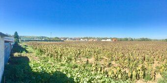1. Reality Rent ponúka na predaj pozemok 1587 m2 v Moravanoc