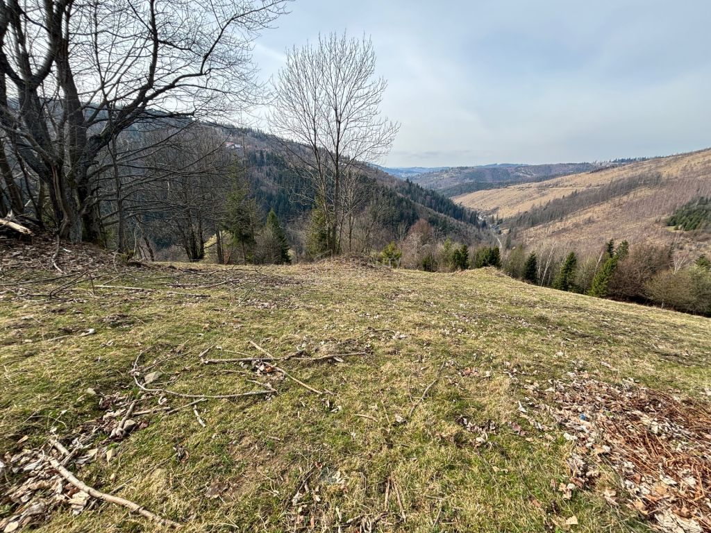 Ponúkame Vám na predaj úžasný pozemok v Oščadnici, len na sk