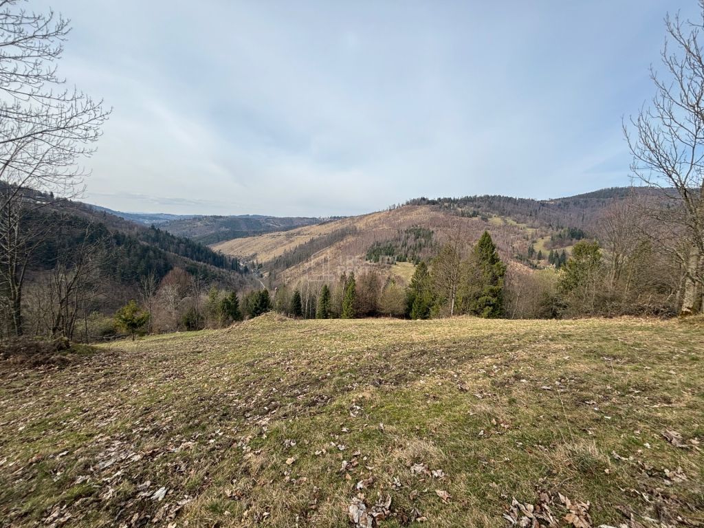 Ponúkame Vám na predaj úžasný pozemok v Oščadnici, len na sk