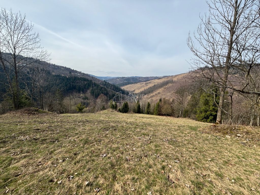 Ponúkame Vám na predaj úžasný pozemok v Oščadnici, len na sk
