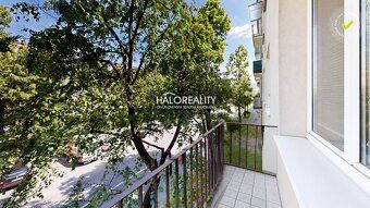Realitná kancelária HALO reality a Marcela Bazalová, kontakt
