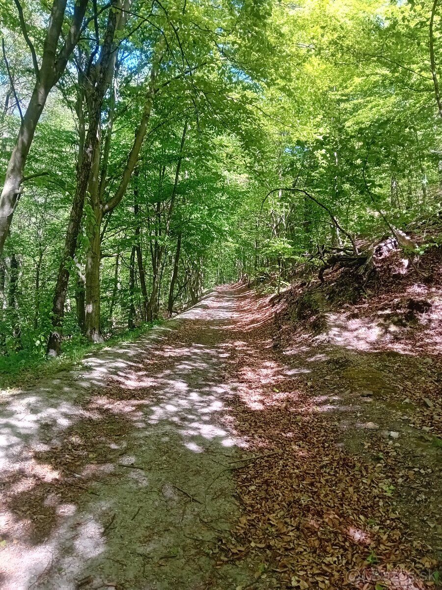 Zahrada 1050m2 v lese .potok cesta el.ticho.Piestany 10km.
