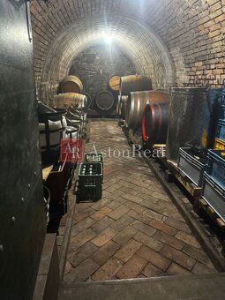 AstonReal v zastúpení ponúka vinohradnícky domček s vinicou 