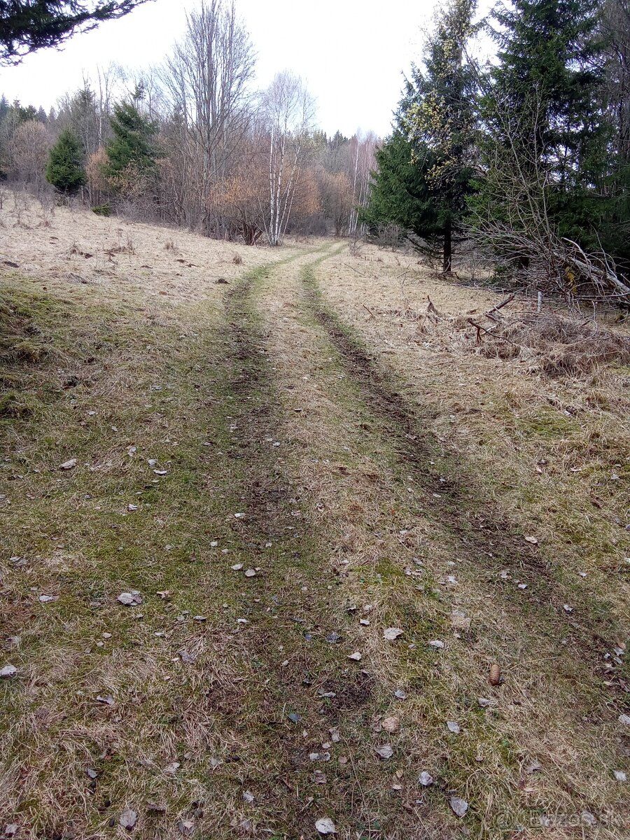 Predám pozemok 2000 m2 s chatou v krásnom horskom prostredí 