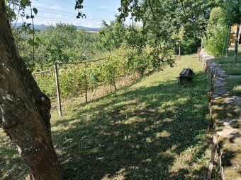 Predám pozemok v záhradkárskej osade Kolónia nad Milsy. Nach