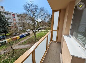 Realitná kancelária HALO reality a Miloš Silný, kontakt: 091