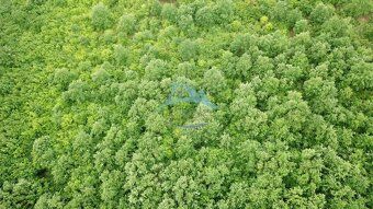 Na predaj 13,8 ha agropôdy v Trebušovciach – 11,5 ha ucelený
