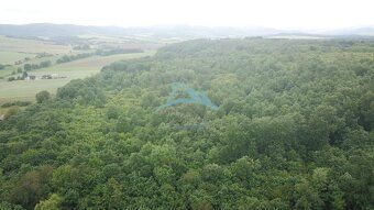 Na predaj 13,8 ha agropôdy v Trebušovciach – 11,5 ha ucelený