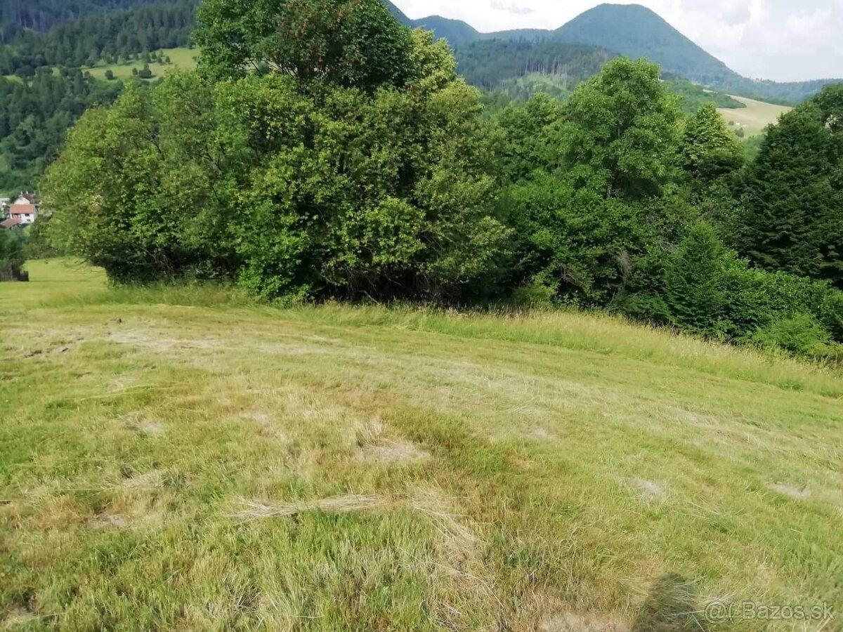 Ponúkame pozemok - výmera je 4129m2 -v perspektívnej lokalit