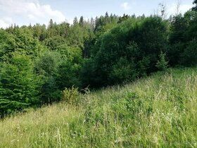 Ponúkame pozemok - výmera je 4129m2 -v perspektívnej lokalit