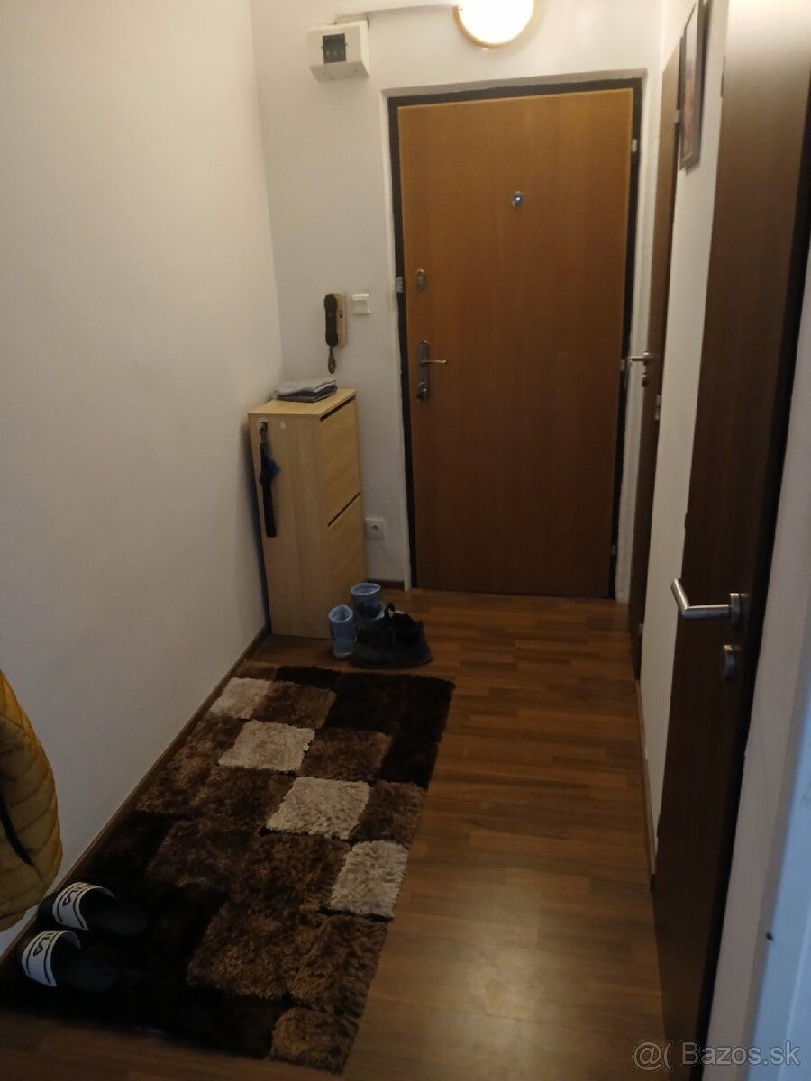Ponúkam na prenájom dvojizbový byt po rekonštrukcii s rozloh