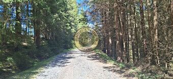 XEMAR ( alebo 0915 142 544 ) exkluzívne ponúka na predaj poz