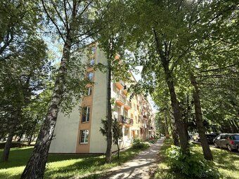 AV Reality exkluzívne ponúka na prenájom útulný, čiastočne z