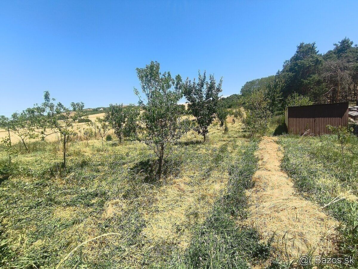 Predám záhradu o veľkosti 2500 m2 v tichej časti rimavských 