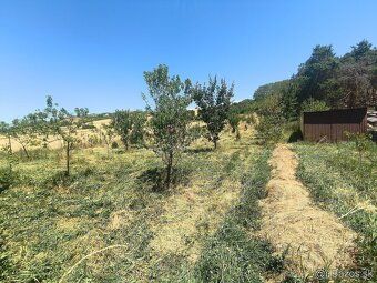 Predám záhradu o veľkosti 2500 m2 v tichej časti rimavských 