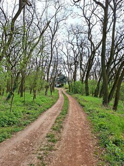 Ponúkame na predaj viničný domček v obci Melek 5km od mesta 