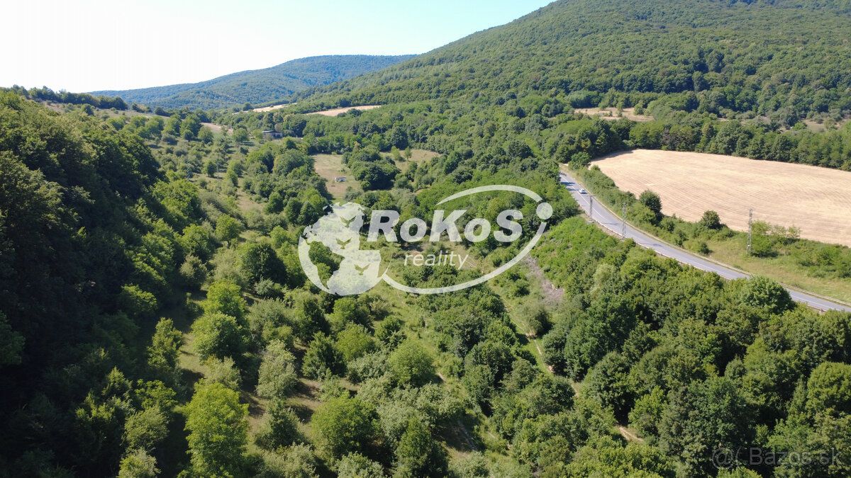 Typ: Záhrada Ulica: Rožňava Obec: Rožňava
Ponúkame Vám na pr