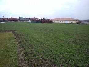 Ponúkam na predaj väčší pozemok. Lokalita: Nový Život (39 km