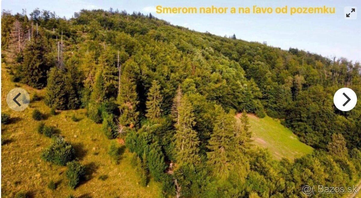 Na predaj: Rekreačný pozemok 27 202 m² pri Slovenskom raji –