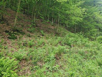 Ponuka: Jedinečný pozemok 2 278 m² v lone prírody s bezprobl