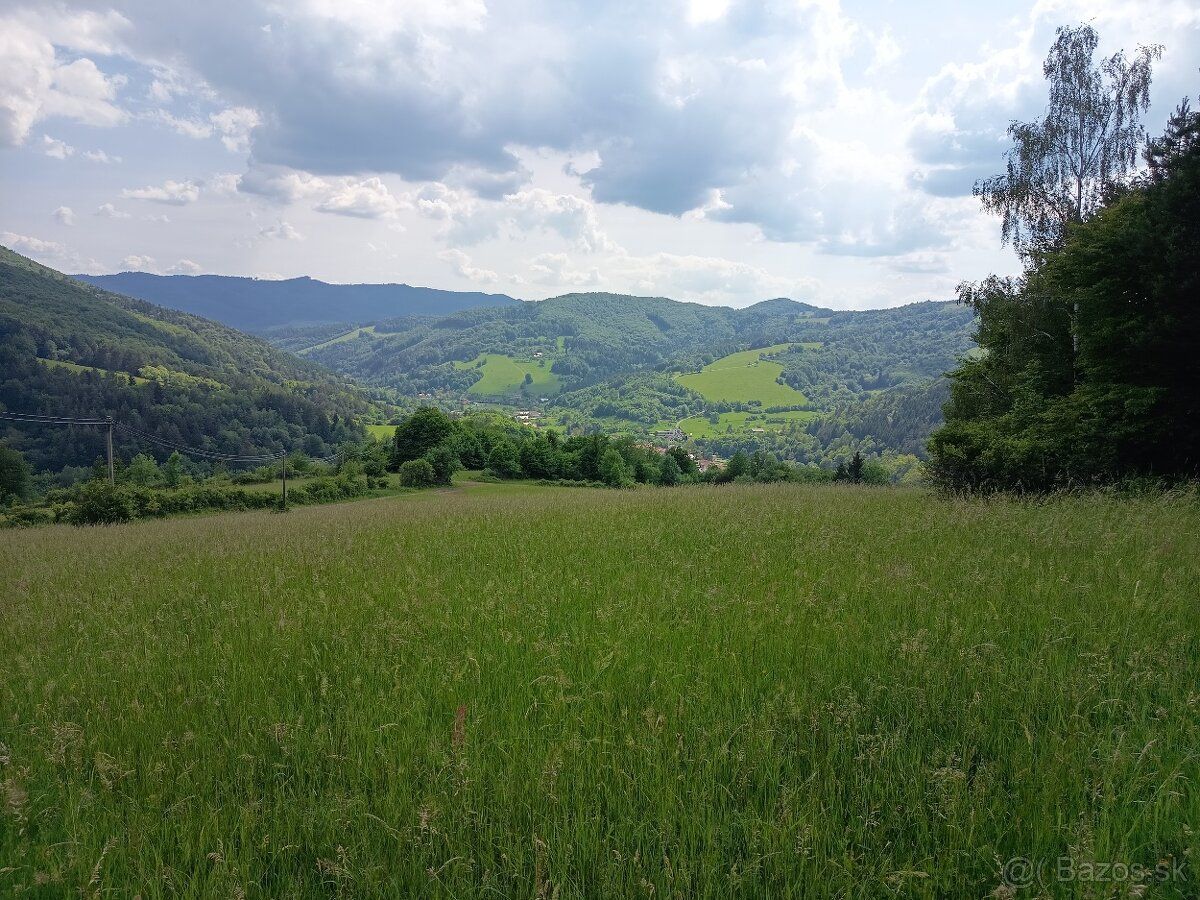 Predáme pozemok v k.ú. Lazy pod Makytou, okres Púchov, výmer