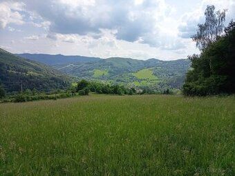 Predáme pozemok v k.ú. Lazy pod Makytou, okres Púchov, výmer