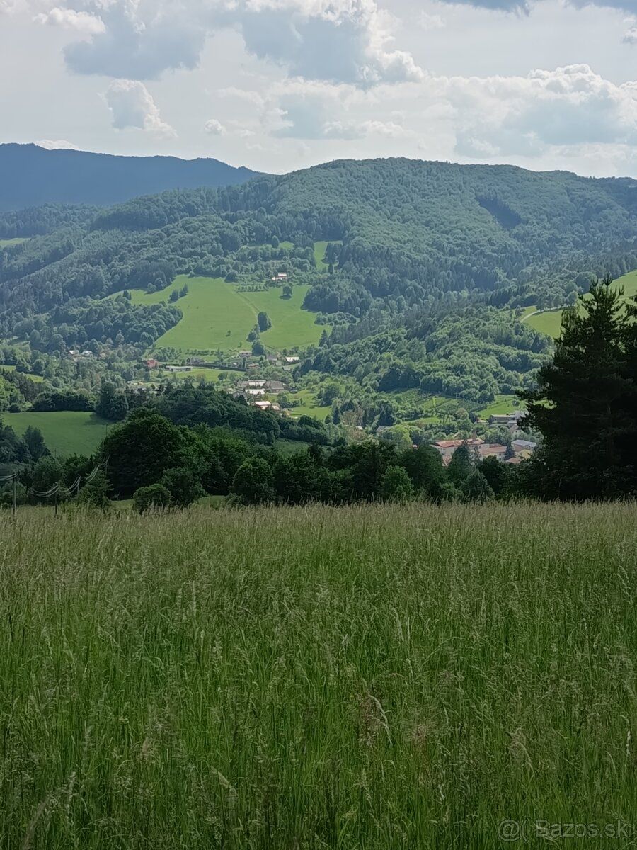 Predáme pozemok v k.ú. Lazy pod Makytou, okres Púchov, výmer