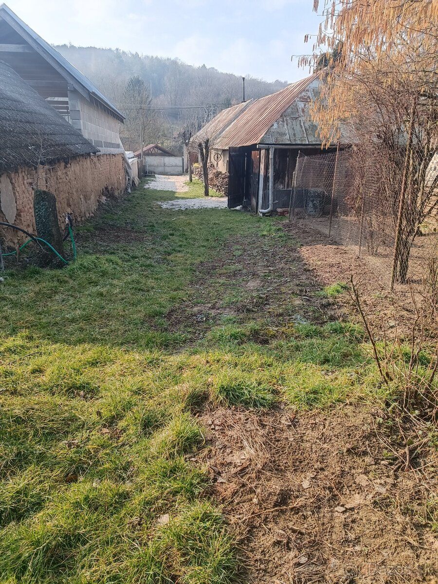 Dám do dlhodobého prenájmu záhradu v rozlohe 1442m2 na saden