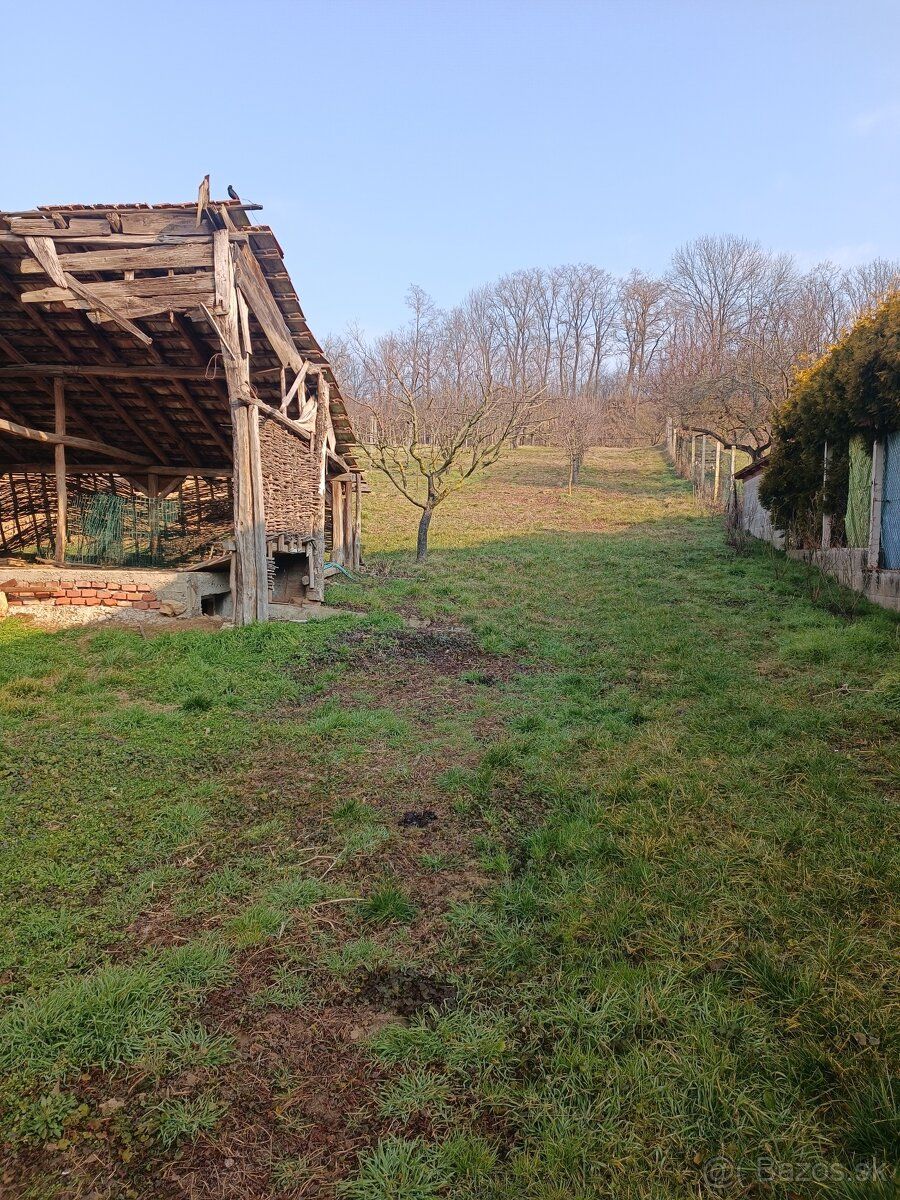 Dám do dlhodobého prenájmu záhradu v rozlohe 1442m2 na saden