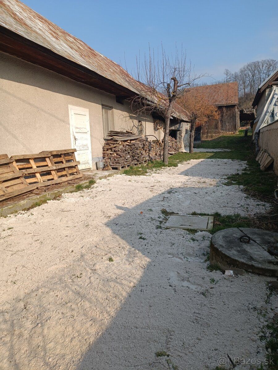 Dám do dlhodobého prenájmu záhradu v rozlohe 1442m2 na saden