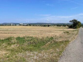 -ide o priestranný pozemok s výmerou 1031m2 na ulici Dlhá -p