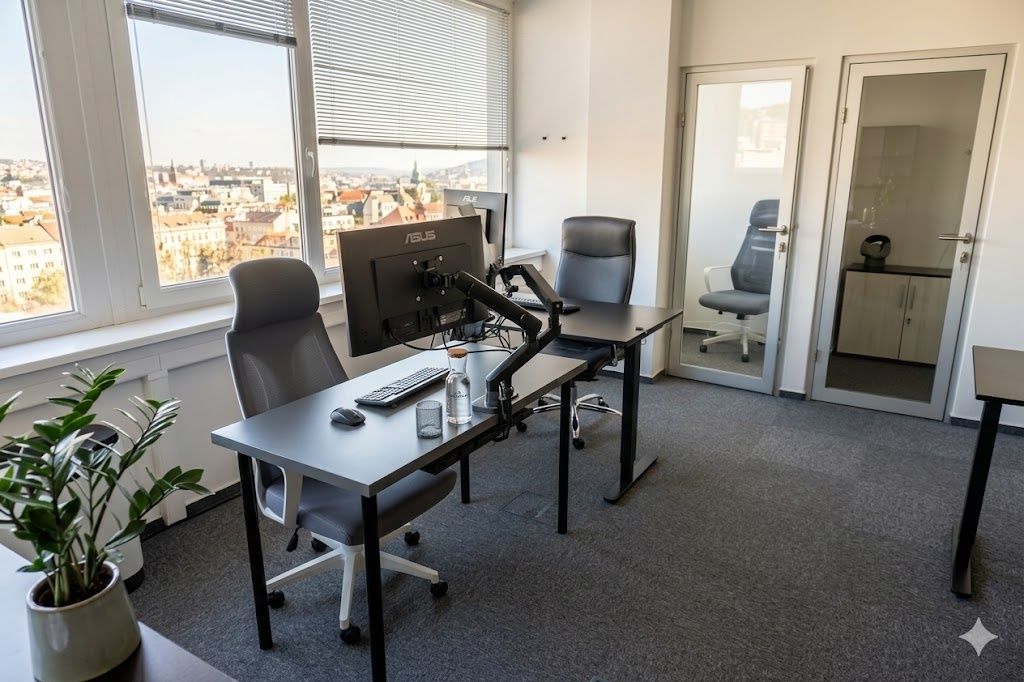 Popis nehnuteľnosti * Dám do podnájmu flexi desk v svetlej a