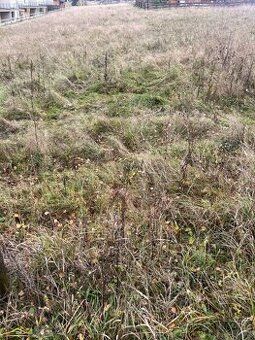 Predam pozemky na Makove. Cca 15 000 m2