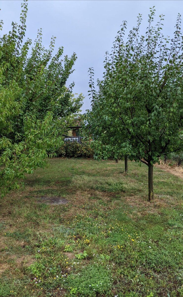 Predám slnečný rovinatý pozemok - 800 m2 na Chrenovej v Nitr