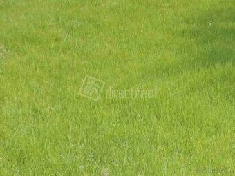 Na predaj STAVEBNÝ pozemok 1803 m2 vhodný na BYTOVÚ VÝSTAVBU