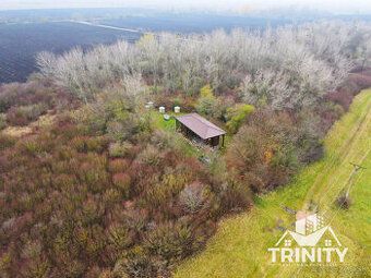 Na predaj pozemok o ploche cca 50 000m2 (5 ha) vhodný na výs