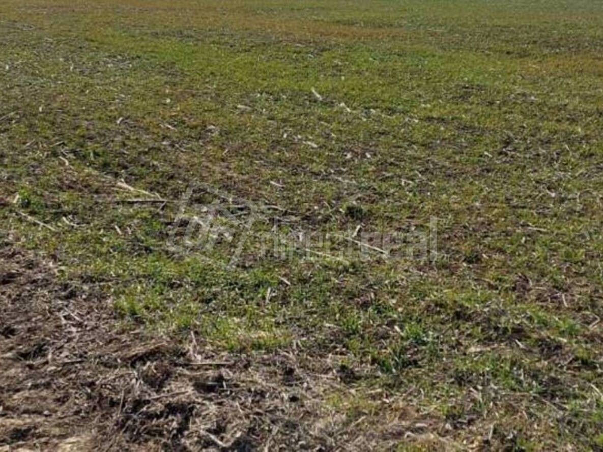 Na predaj pozemok o ploche cca 50 000m2 (5 ha) vhodný na výs