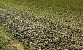 Na predaj pozemok o ploche cca 50 000m2 (5 ha) vhodný na výs