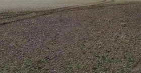 Na predaj pozemok o ploche cca 50 000m2 (5 ha) vhodný na výs